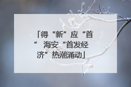 得“新”应“首” 海安“首发经济”热潮涌动