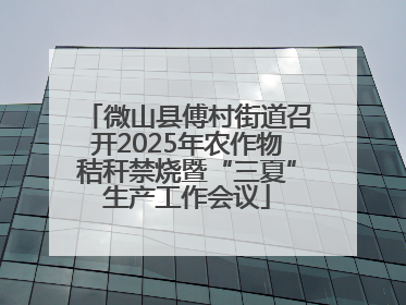 微山县傅村街道召开2025年农作物秸秆禁烧暨“三夏”生产工作会议