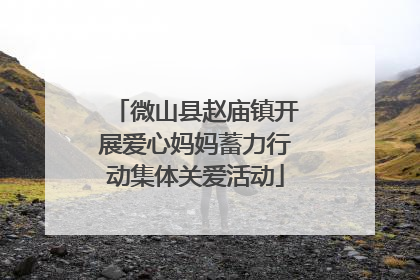 微山县赵庙镇开展爱心妈妈蓄力行动集体关爱活动