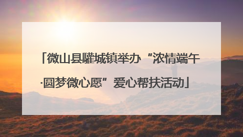 微山县驩城镇举办“浓情端午·圆梦微心愿”爱心帮扶活动