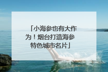 小海参也有大作为！烟台打造海参特色城市名片