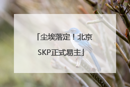 尘埃落定！北京SKP正式易主