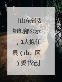 山东省委组织部公示，1人拟任县（市、区）委书记