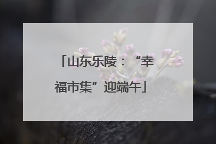 山东乐陵：“幸福市集”迎端午