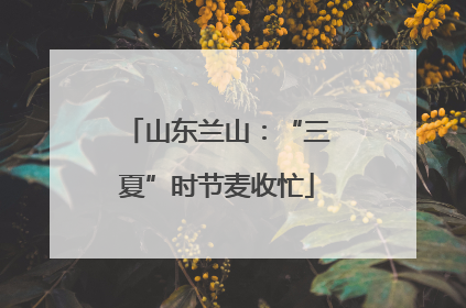 山东兰山：“三夏”时节麦收忙