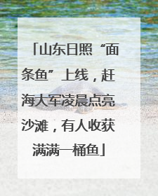 山东日照“面条鱼”上线，赶海大军凌晨点亮沙滩，有人收获满满一桶鱼