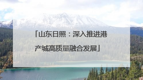 山东日照：深入推进港产城高质量融合发展
