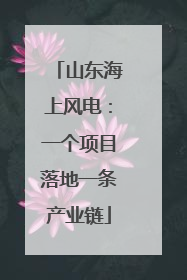 山东海上风电：一个项目落地一条产业链