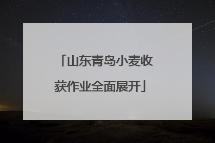 山东青岛小麦收获作业全面展开