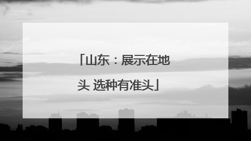 山东：展示在地头 选种有准头