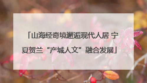 山海经奇境邂逅现代人居 宁夏贺兰“产城人文”融合发展