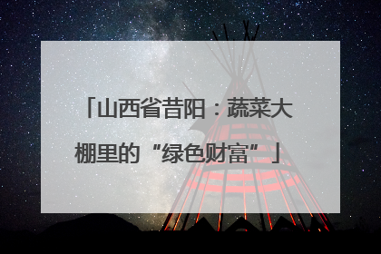山西省昔阳：蔬菜大棚里的“绿色财富”