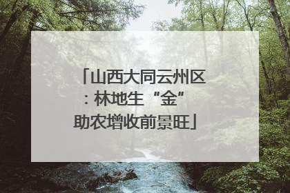 山西大同云州区：林地生“金” 助农增收前景旺