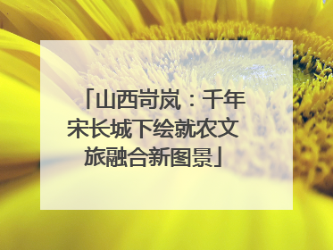 山西岢岚：千年宋长城下绘就农文旅融合新图景
