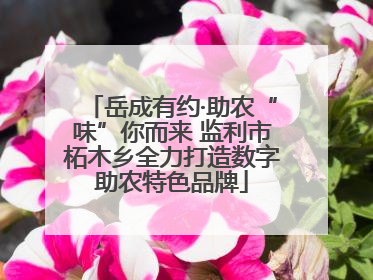 岳成有约·助农“味”你而来 监利市柘木乡全力打造数字助农特色品牌
