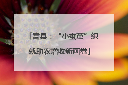 嵩县：“小蚕茧”织就助农增收新画卷