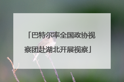 巴特尔率全国政协视察团赴湖北开展视察