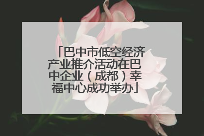 巴中市低空经济产业推介活动在巴中企业（成都）幸福中心成功举办