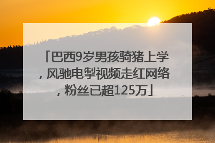 巴西9岁男孩骑猪上学，风驰电掣视频走红网络，粉丝已超125万