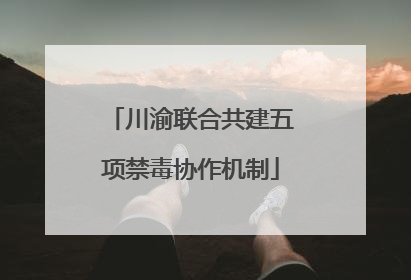 川渝联合共建五项禁毒协作机制