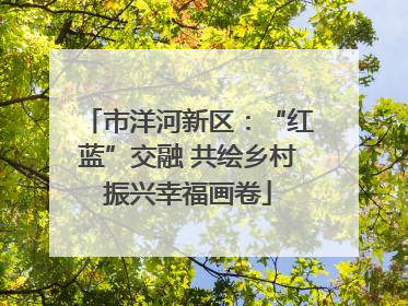 市洋河新区：“红蓝”交融 共绘乡村振兴幸福画卷