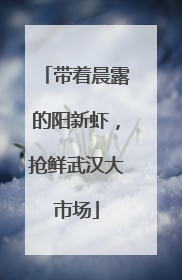带着晨露的阳新虾，抢鲜武汉大市场