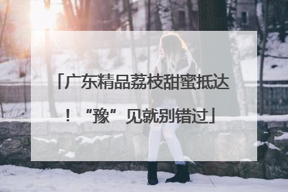 广东精品荔枝甜蜜抵达！“豫”见就别错过