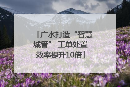 广水打造“智慧城管” 工单处置效率提升10倍