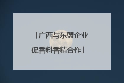 广西与东盟企业促香料香精合作