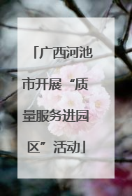 广西河池市开展“质量服务进园区”活动