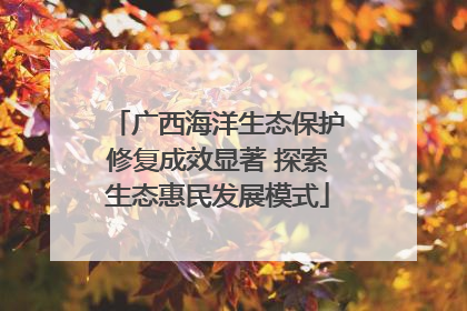 广西海洋生态保护修复成效显著 探索生态惠民发展模式