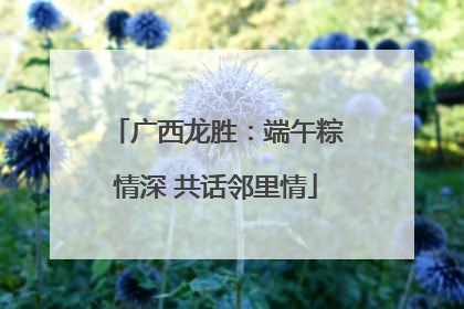广西龙胜：端午粽情深 共话邻里情