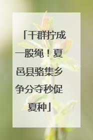 干群拧成一股绳！夏邑县骆集乡争分夺秒促夏种