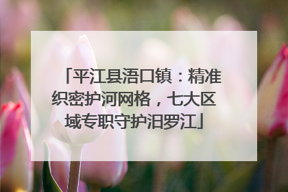 平江县浯口镇：精准织密护河网格，七大区域专职守护汨罗江