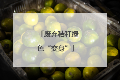 废弃秸秆绿色“变身”