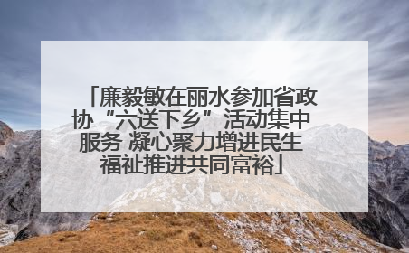 廉毅敏在丽水参加省政协“六送下乡”活动集中服务 凝心聚力增进民生福祉推进共同富裕
