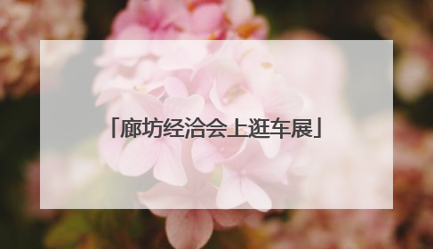 廊坊经洽会上逛车展
