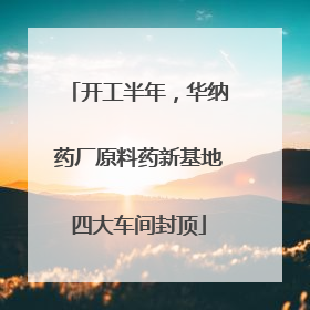 开工半年，华纳药厂原料药新基地四大车间封顶