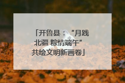 开鲁县：“月践北疆 粽情端午”共绘文明新画卷