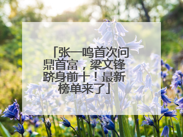 张一鸣首次问鼎首富，梁文锋跻身前十！最新榜单来了