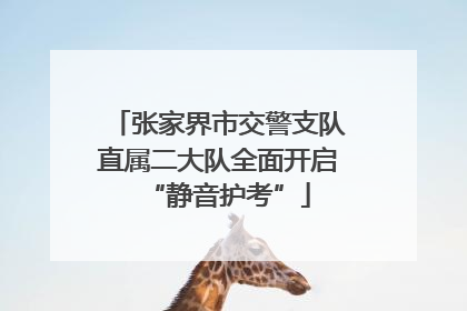 张家界市交警支队直属二大队全面开启“静音护考”