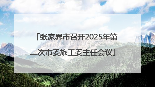 张家界市召开2025年第二次市委旅工委主任会议