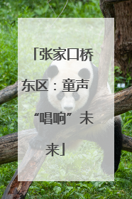 张家口桥东区：童声“唱响”未来