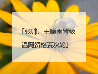 张帅、王曦雨晋级温网资格赛次轮
