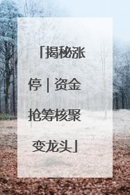 揭秘涨停｜资金抢筹核聚变龙头