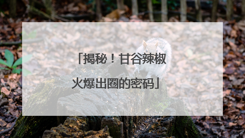 揭秘！甘谷辣椒火爆出圈的密码