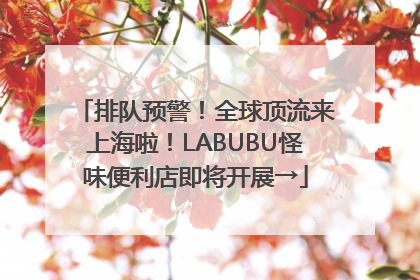 排队预警！全球顶流来上海啦！LABUBU怪味便利店即将开展→