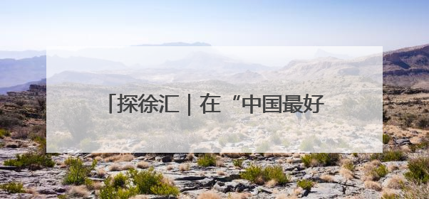 探徐汇｜在“中国最好公寓”，有一家盛开着“上海玫瑰”的书店