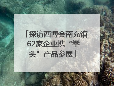 探访西博会南充馆 62家企业携“拳头”产品参展