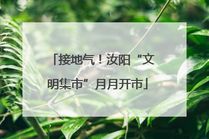 接地气！汝阳“文明集市”月月开市